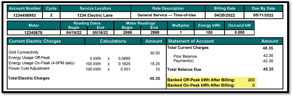 Bill Print Example_Net Meter Account